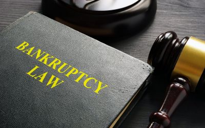 Bankruptcy Fraud Defense